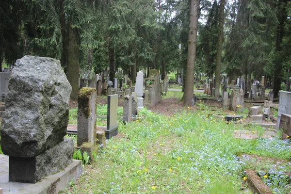 Velho Cemitério Vista Vida Morte Conceito — Fotografia de Stock