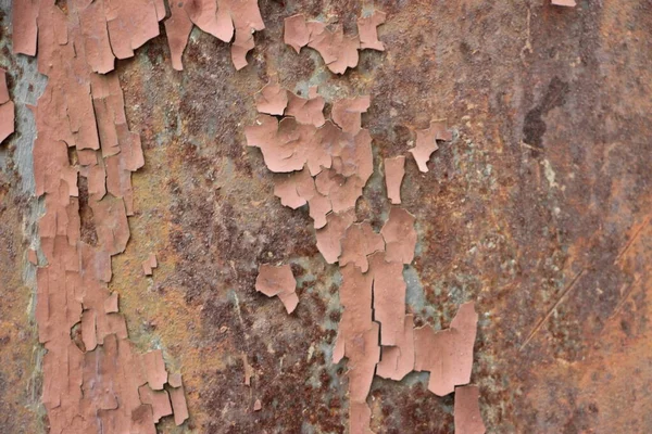 Paslı boyalı duvar arkaplanı kapat 