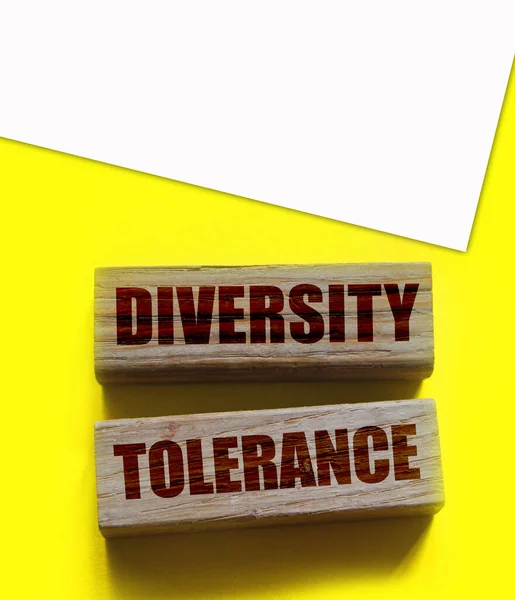 多様性木製ブロック上の耐性単語 機会均等の考え方 — ストック写真