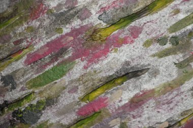 soyut renkli arkaplan görüntüsü 