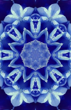 Renkli soyut arka plan. Fantezi mandala konsepti