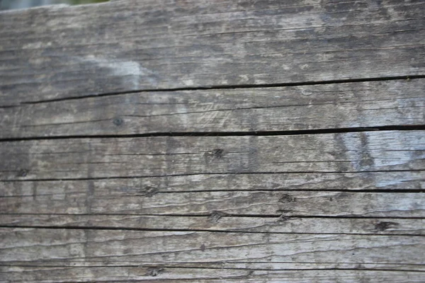 Abstraktní Dřevěné Pozadí Zavřít — Stock fotografie