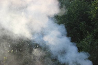 Yaz tatili: Ormanda barbekü