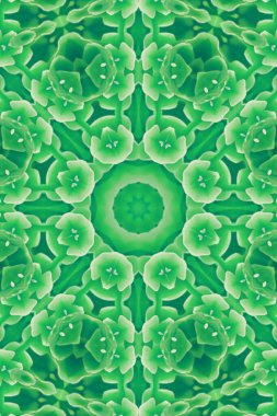 Renkli soyut arka plan. Fantezi mandala konsepti