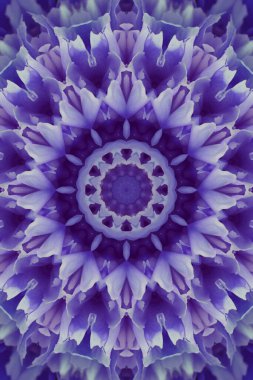 Renkli soyut arka plan. Fantezi mandala konsepti