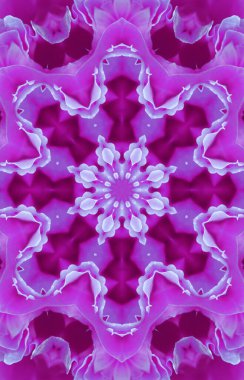 Renkli soyut arka plan. Fantezi mandala konsepti