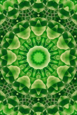 Renkli soyut arka plan. Fantezi mandala konsepti