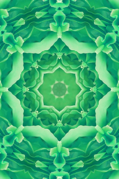 Kleurrijke Abstracte Achtergrond Fantasie Mandala Concept — Stockfoto