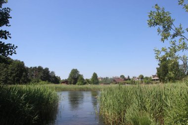 Ormanın derinliklerinde güzel bir göl 