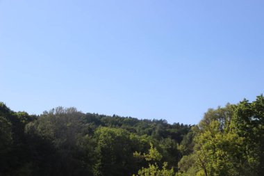 yeşil ağaçlar mavi gökyüzü arka planına karşı