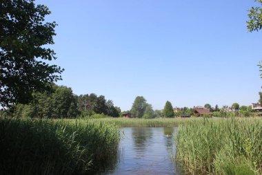 Ormanın derinliklerinde güzel bir göl 