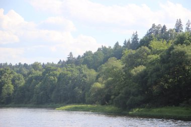 Ormanın derinliklerinde güzel bir göl 