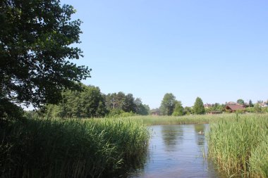 Ormanın derinliklerinde güzel bir göl 