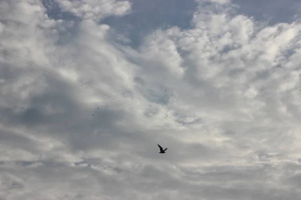 Magnifique Ciel Nuageux Vue Arrière Plan — Photo