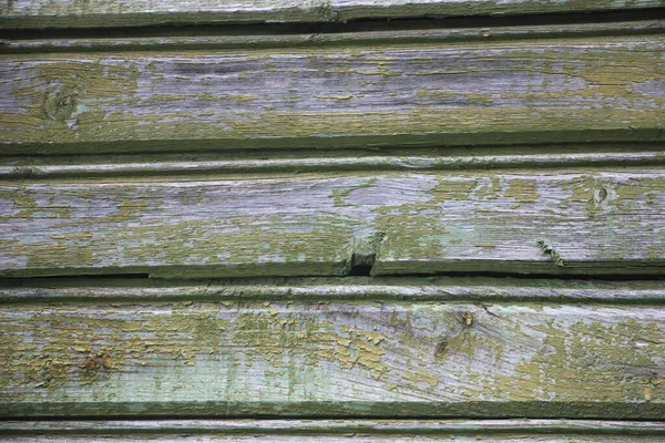 Grüne Holz Abstrakte Hintergrundansicht Nahaufnahme — Stockfoto