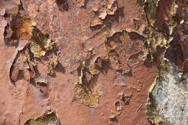 Paslı soyut arkaplan görüntüsü 