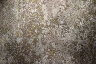 Paslı duvar arkaplan görüntüsü 