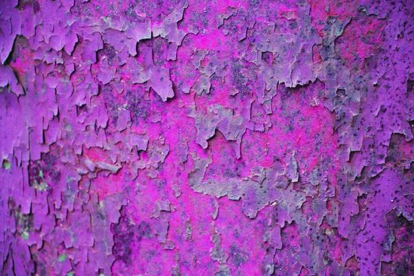 抽象的な錆びた紫色の背景 — ストック写真