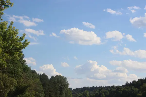 Árboles Verdes Sobre Fondo Azul Del Cielo —  Fotos de Stock