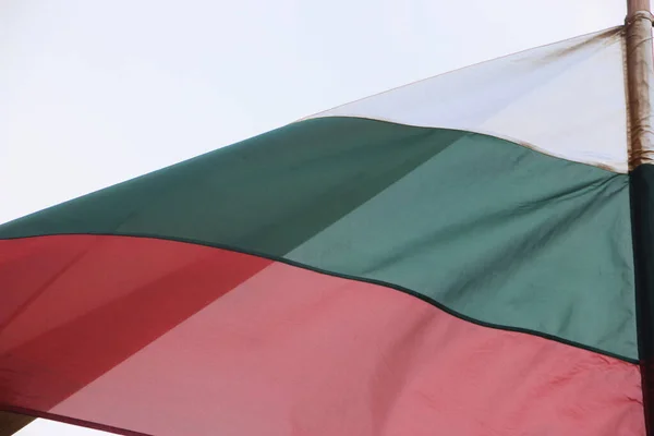 Bulgarsk Nationalt Flag Vinker - Stock-foto