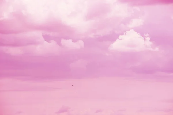 Astratto Colore Rosa Cielo Nuvoloso Vista Sfondo — Foto Stock