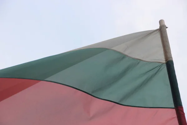 Bulgarsk Nationalt Flag Vinker - Stock-foto