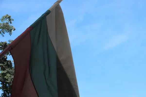 風になびくブルガリア国旗 — ストック写真