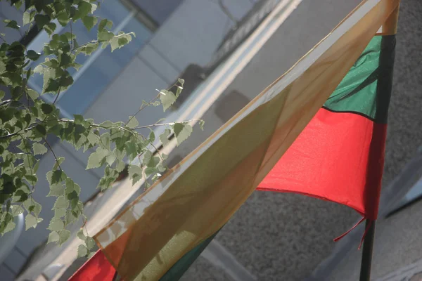 Bandeira Bulgária Acenando Vento — Fotografia de Stock