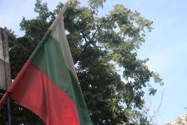 Bulgarien Flag Vinker Vinden - Stock-foto