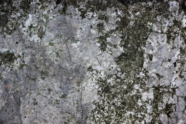 old rusty wall background view 