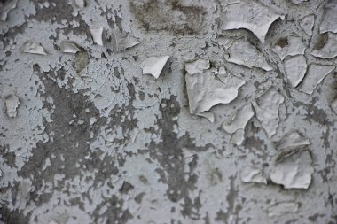 Yıpranmış doğal ahşap doku arka planı 