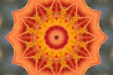 Renkli soyut arka plan. Fantezi mandala konsepti