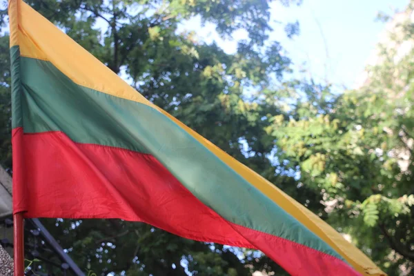 Flag Lithuania Outdoor View — Zdjęcie stockowe