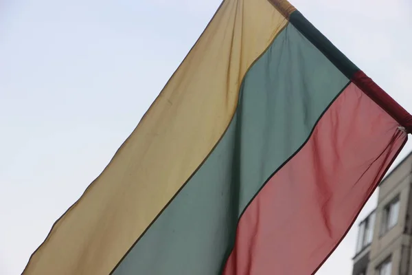 Flag Lithuania Outdoor View — Stok fotoğraf