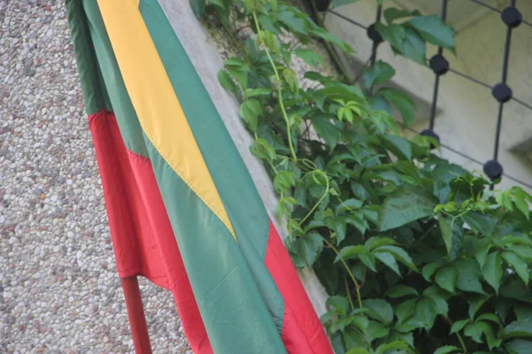 Flag Lithuania Outdoor View — Zdjęcie stockowe