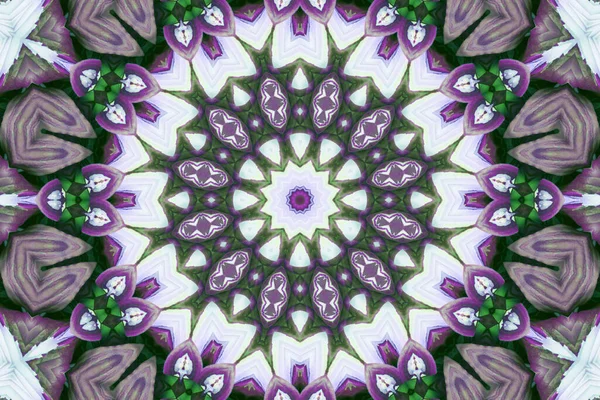 Fondo Abstracto Colorido Fantasía Mandala Concepto — Foto de Stock