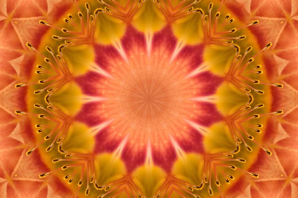 Fundal Abstract Colorat Fantasy Mandala Concept — Fotografie, imagine de stoc