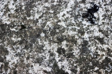 old rusty wall background view 