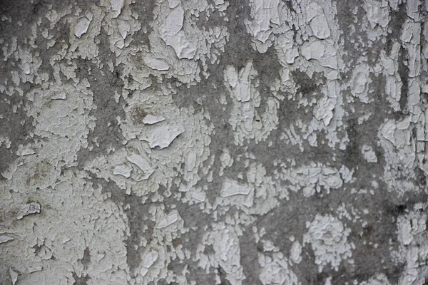 Rough Weathered Natural Madeira Textura Fundo — Fotografia de Stock