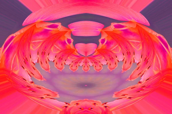 Kleurrijke Abstracte Achtergrond Fantasie Mandala Concept — Stockfoto