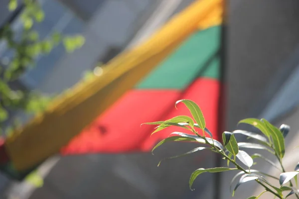 Flag Lithuania Outdoor View — Stok fotoğraf