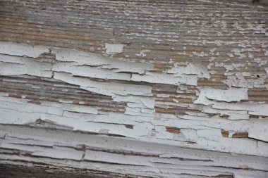 Yıpranmış doğal ahşap doku arka planı 