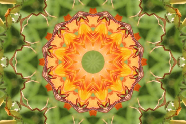 Bunte Abstrakte Hintergrund Fantasie Mandala Konzept — Stockfoto