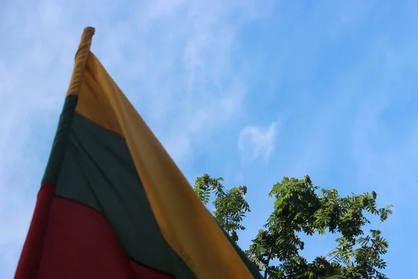 Flag Lithuania Outdoor View — Zdjęcie stockowe