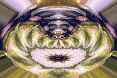 soyut renkli mandala arkaplan görüntüsü 