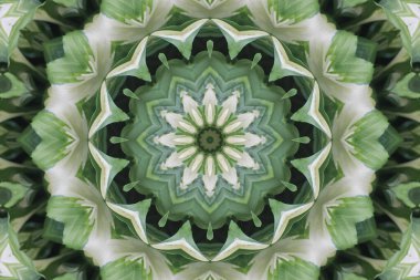 Renkli soyut arka plan. Fantezi mandala konsepti