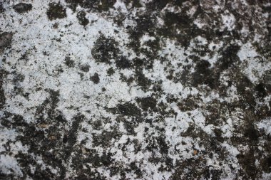 old rusty wall background view 