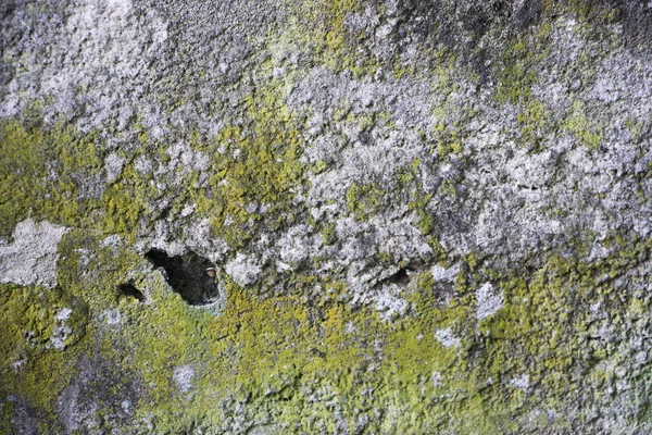 Old Rusty Wall Background View — 图库照片