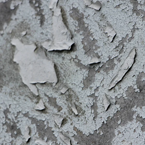 Rough Weathered Natural Madeira Textura Fundo — Fotografia de Stock