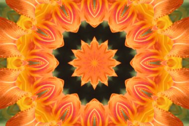 soyut renkli mandala arkaplan görüntüsü 